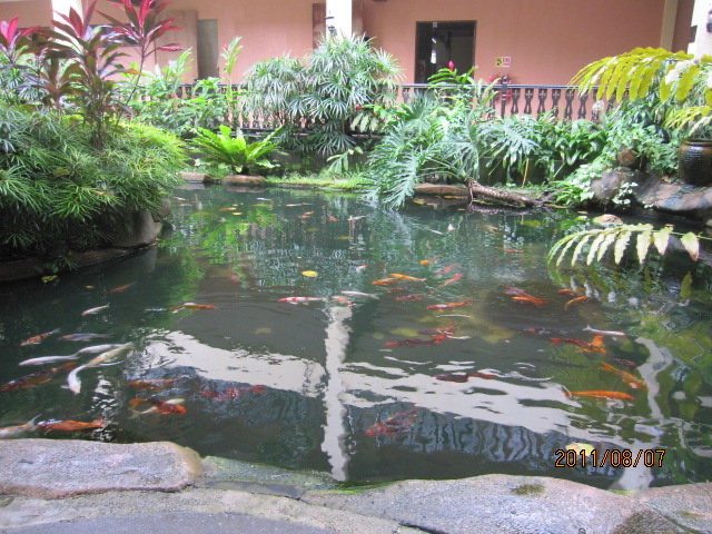 MalaccaZoo-08.jpeg MalaccaZoo 08