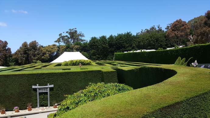 Mornington-06.jpeg Mornington 06