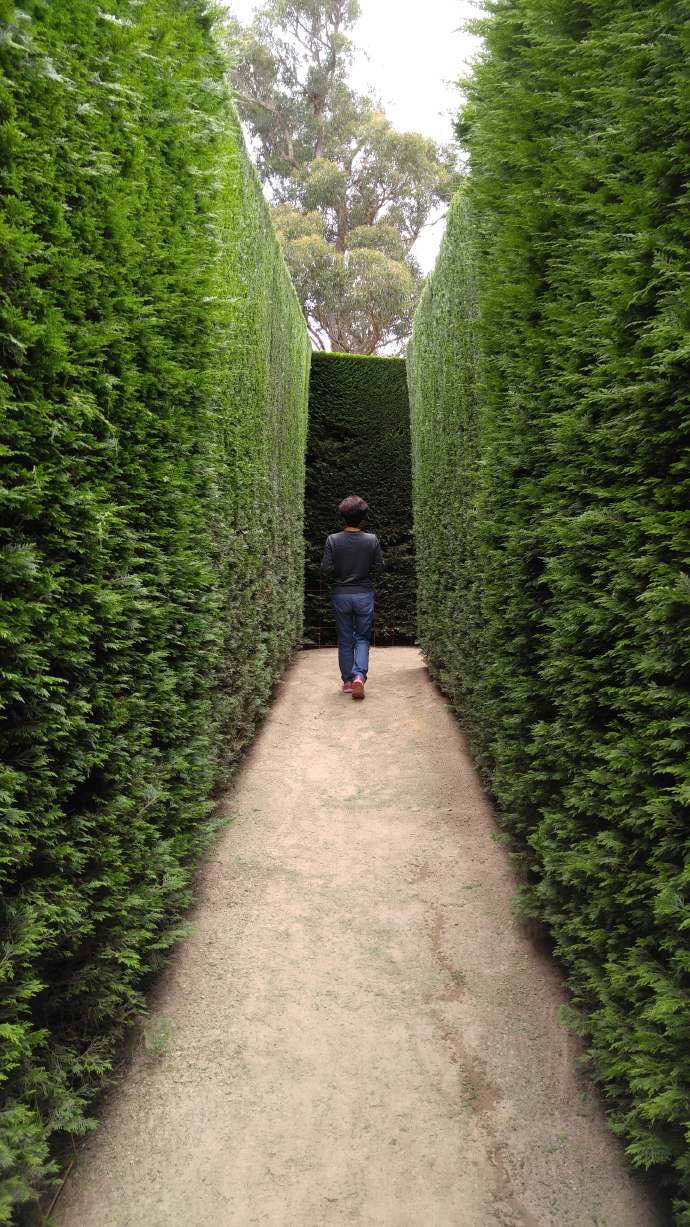 Mornington-09.jpeg Mornington 09