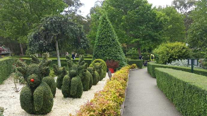 Mornington-12.jpeg Mornington 12