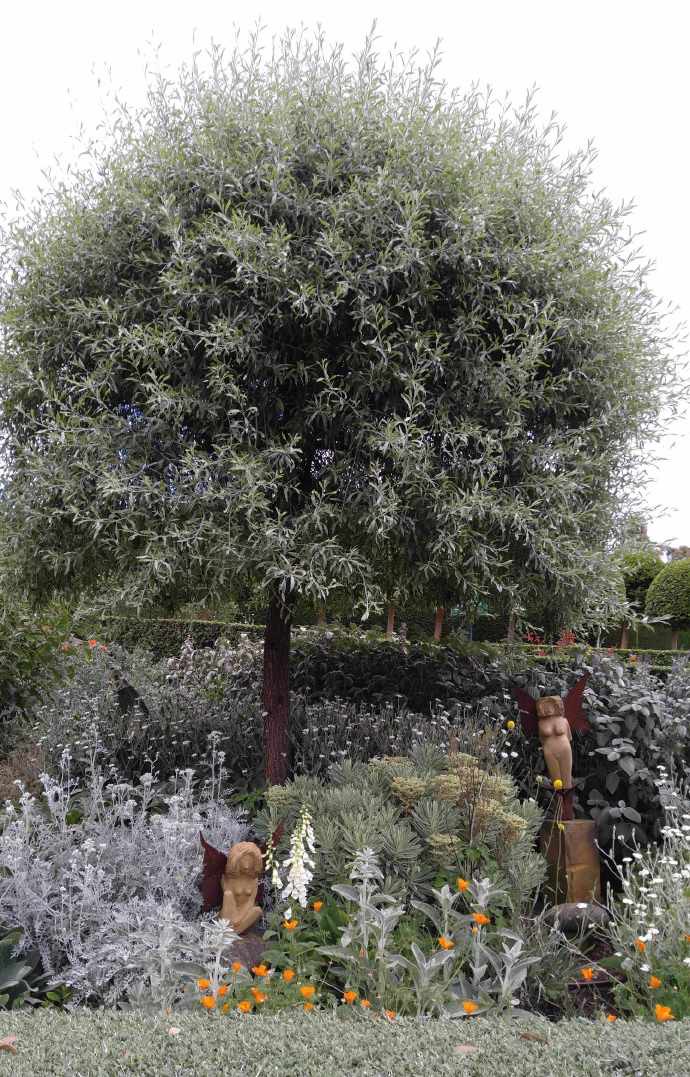 Mornington-22.jpeg Mornington 22