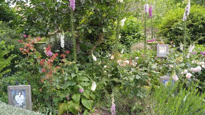 Mornington-24.jpeg Mornington 24