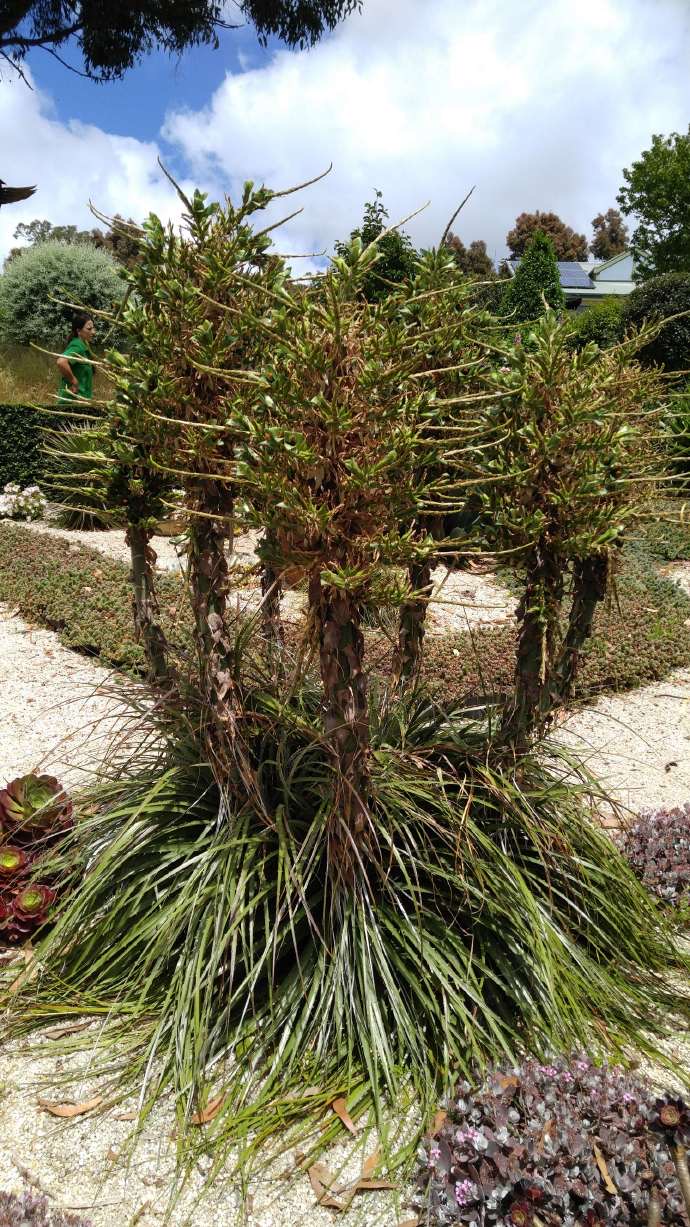 Mornington-26.jpeg Mornington 26