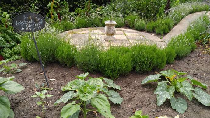 Mornington-28.jpeg Mornington 28