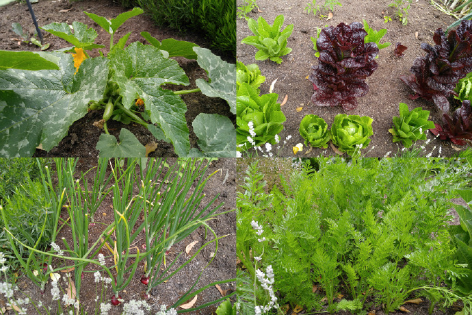 Mornington-29.jpeg Mornington 29