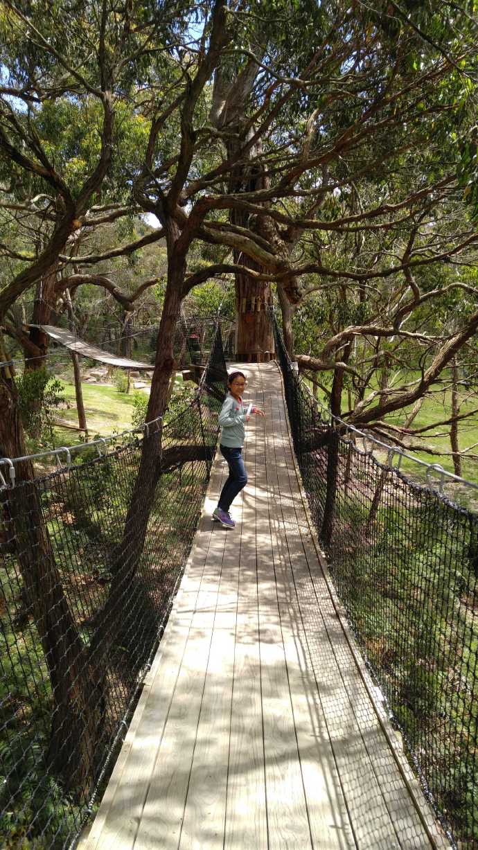 Mornington-36.jpeg Mornington 36