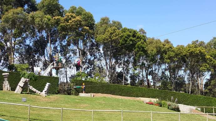 Mornington-39.jpeg Mornington 39