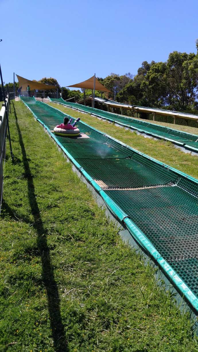 Mornington-41.jpeg Mornington 41