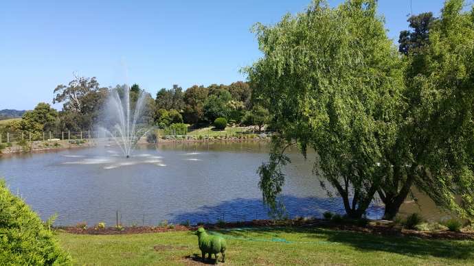 Mornington-43.jpeg Mornington 43