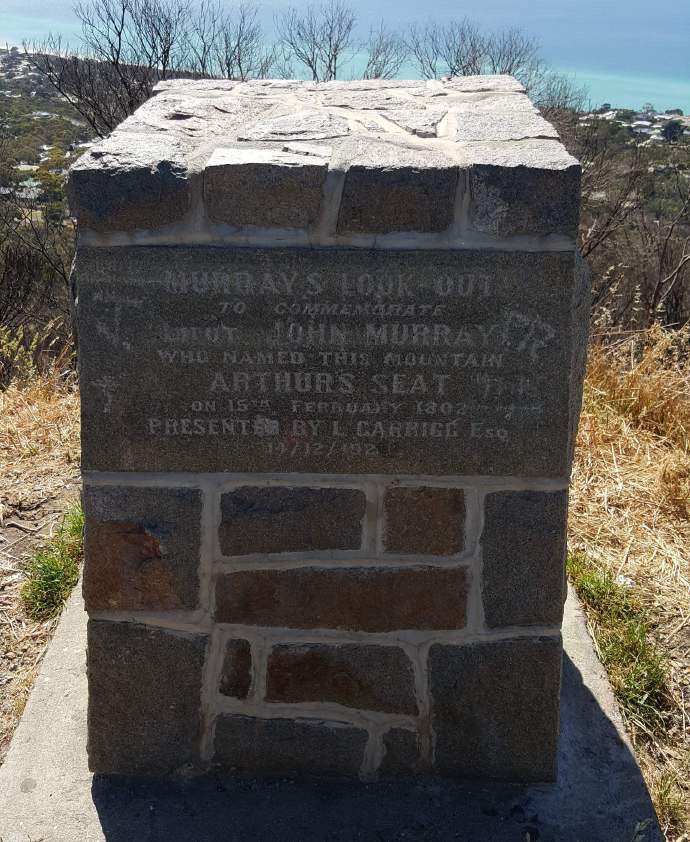 Mornington-45.jpeg Mornington 45