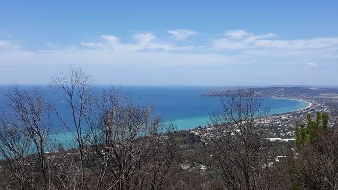 Mornington-47.jpeg Mornington 47