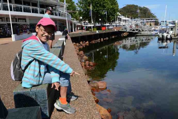 NelsonBay-04.jpeg NelsonBay 04