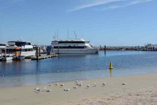 NelsonBay-05.jpeg NelsonBay 05