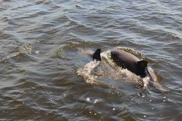 NelsonBay-12.jpeg NelsonBay 12