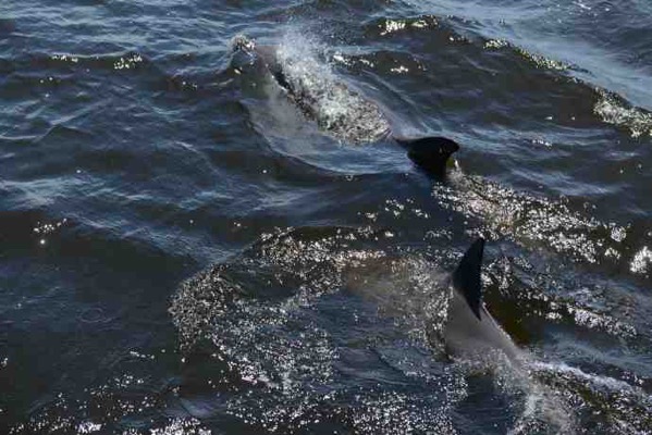 NelsonBay-13.jpeg NelsonBay 13