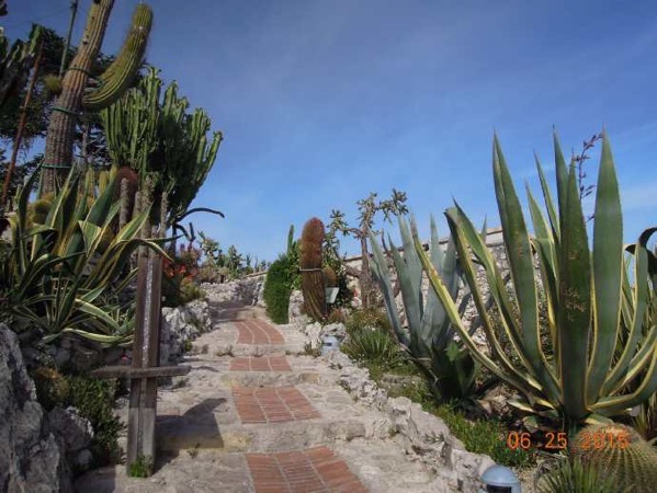 Nice-29.jpeg Nice 29