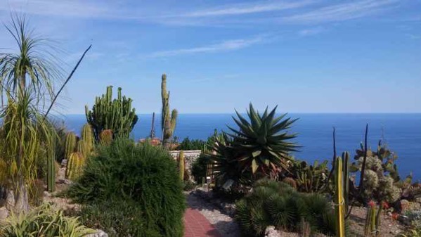 Nice-30.jpeg Nice 30