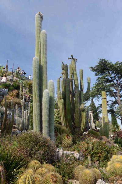 Nice-31.jpeg Nice 31