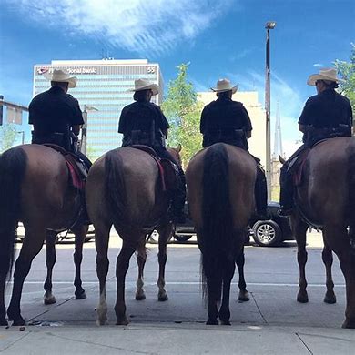 You are currently viewing 新加坡骑警