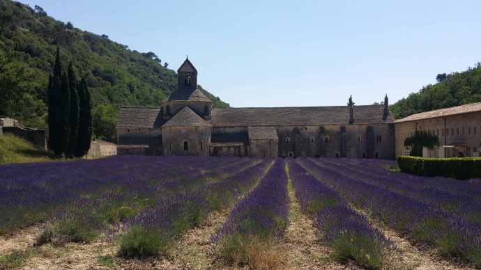 Orange-14.jpeg Orange 14