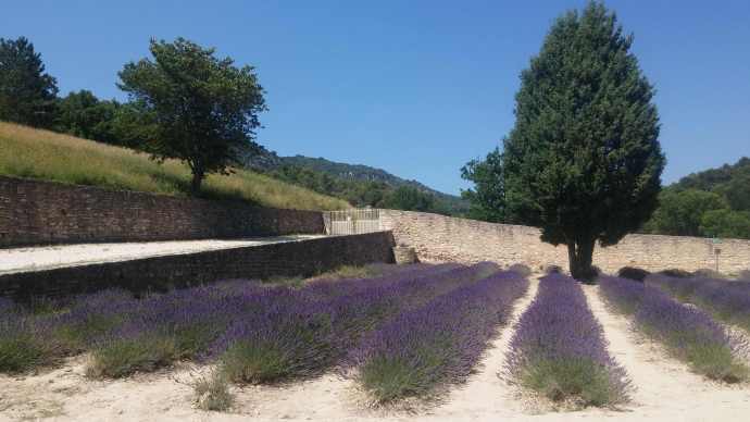 Orange-15.jpeg Orange 15