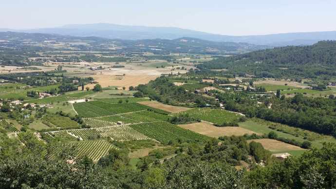 Orange-20.jpeg Orange 20