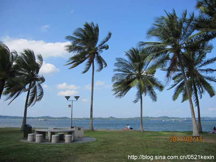 巴西立海岸公园Pasir Ris Park