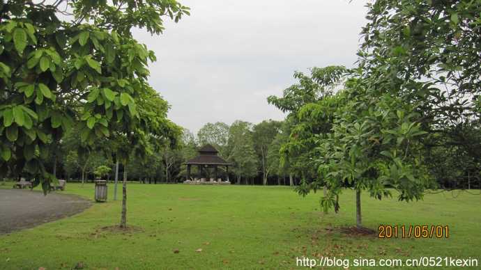 Pasir Ris Park 03