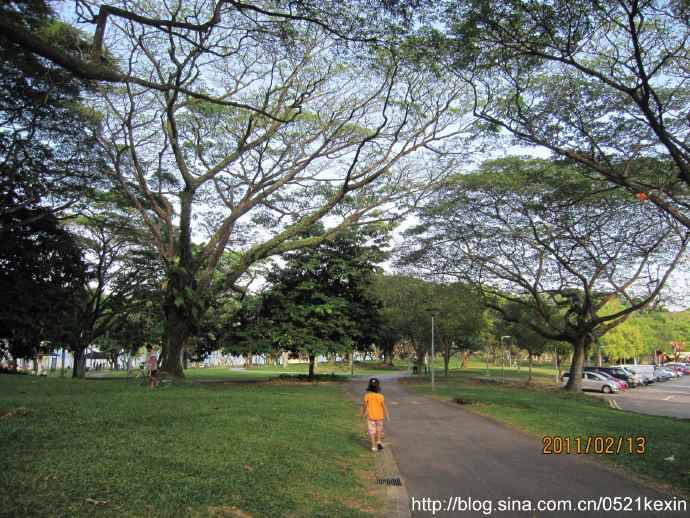 Pasir Ris Park 06