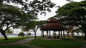Read more about the article 2014-5-1 Pasir Ris Park