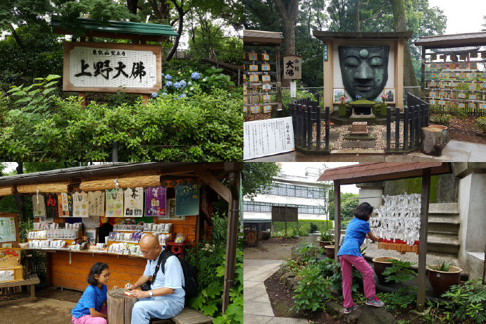 RibikuParks-04.jpeg RibikuParks 04