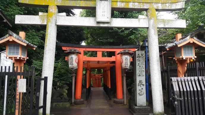 RibikuParks-05.jpeg RibikuParks 05