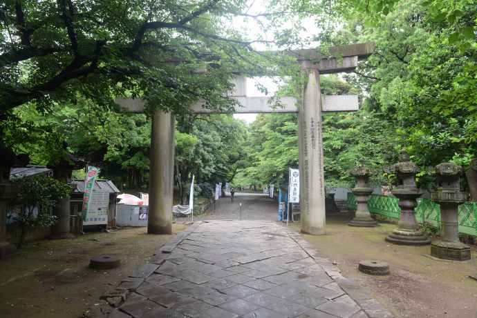 RibikuParks-07.jpeg RibikuParks 07