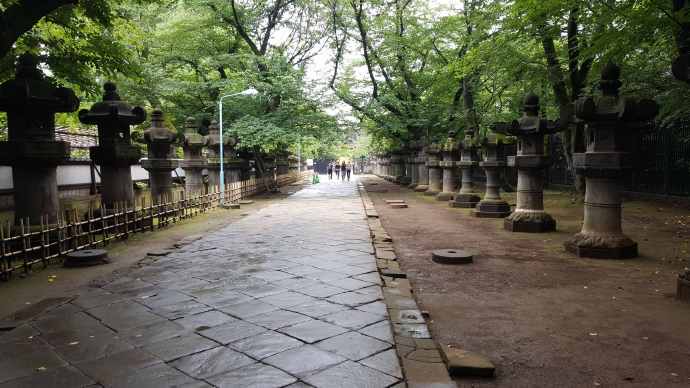 RibikuParks-09.jpeg RibikuParks 09