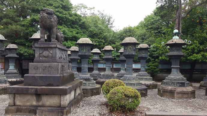 RibikuParks-10.jpeg RibikuParks 10