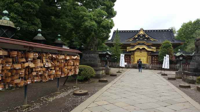 RibikuParks-11.jpeg RibikuParks 11