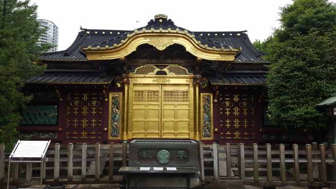 RibikuParks-12.jpeg RibikuParks 12