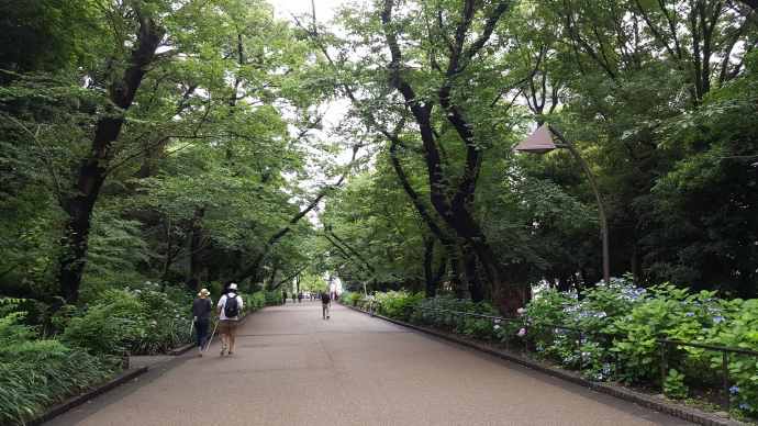 RibikuParks-13.jpeg RibikuParks 13