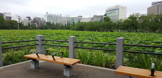 RibikuParks-14.jpeg RibikuParks 14