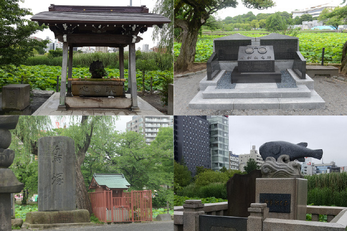 RibikuParks-15.jpeg RibikuParks 15