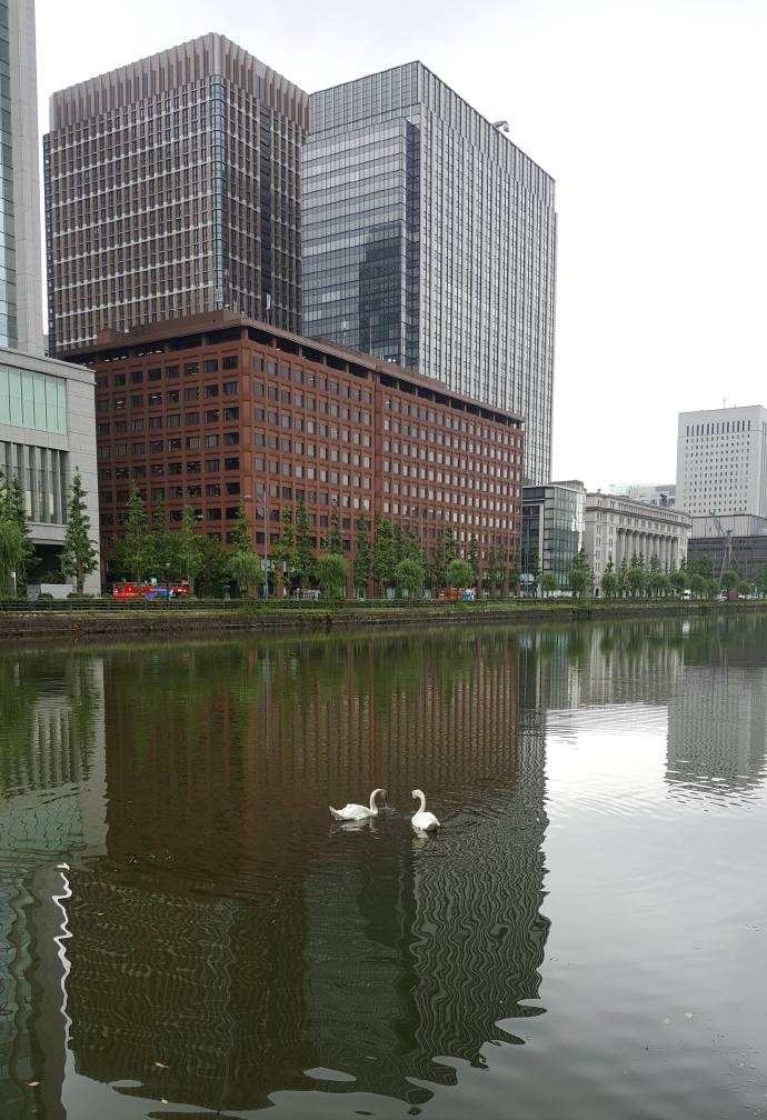 RibikuParks-16.jpeg RibikuParks 16