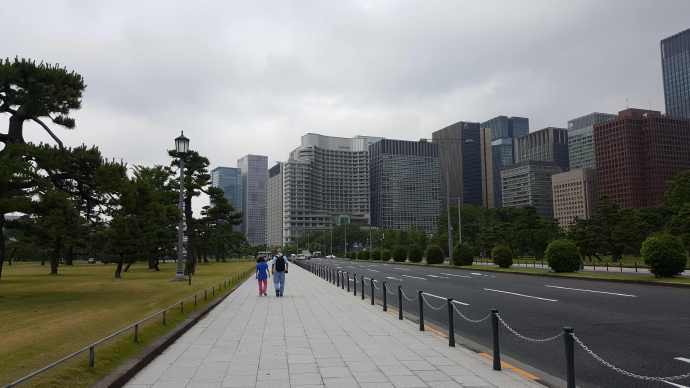 RibikuParks-18.jpeg RibikuParks 18