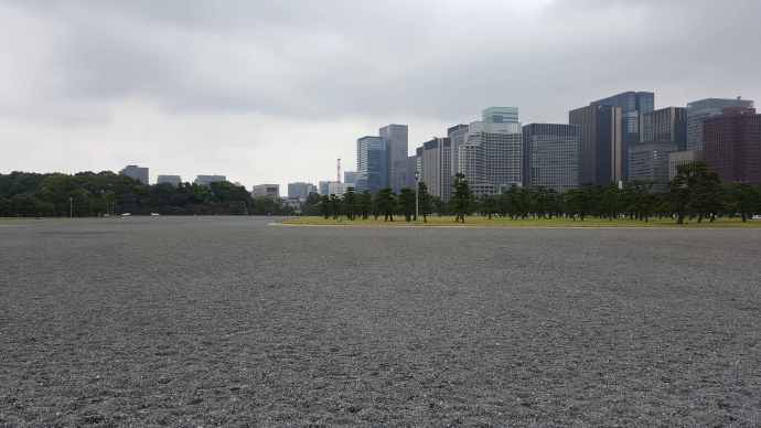 RibikuParks-19.jpeg RibikuParks 19