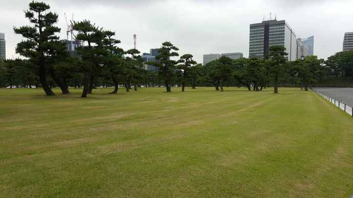 RibikuParks-20.jpeg RibikuParks 20