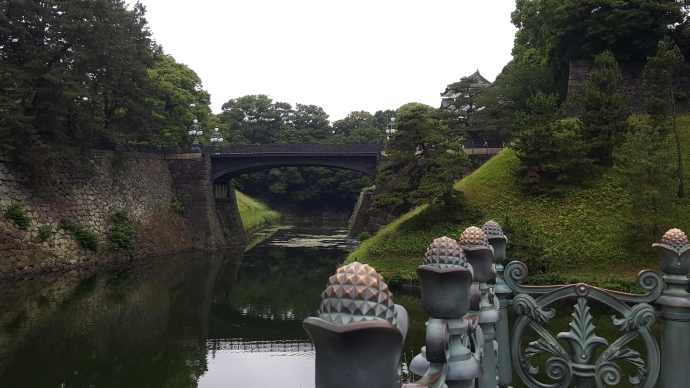 RibikuParks-21.jpeg RibikuParks 21