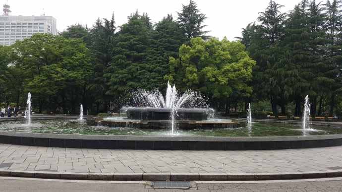 RibikuParks-23.jpeg RibikuParks 23