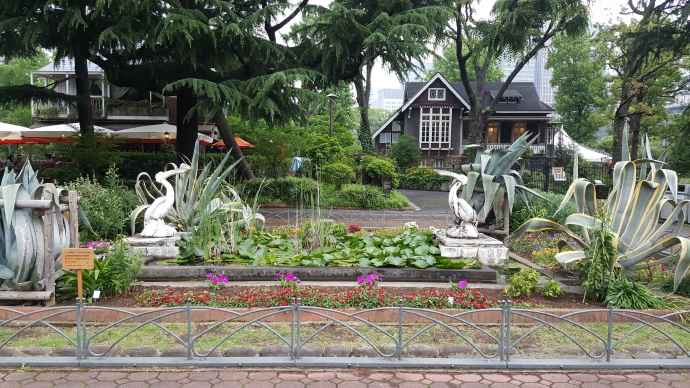 RibikuParks-26.jpeg RibikuParks 26