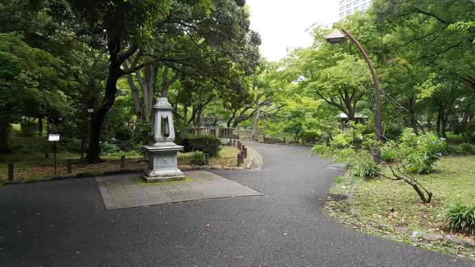 RibikuParks-27.jpeg RibikuParks 27