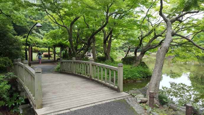 RibikuParks-28.jpeg RibikuParks 28