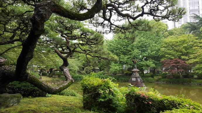 RibikuParks-29.jpeg RibikuParks 29